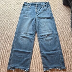 American Eagle Outfitters Blue Wide Leg Jeans